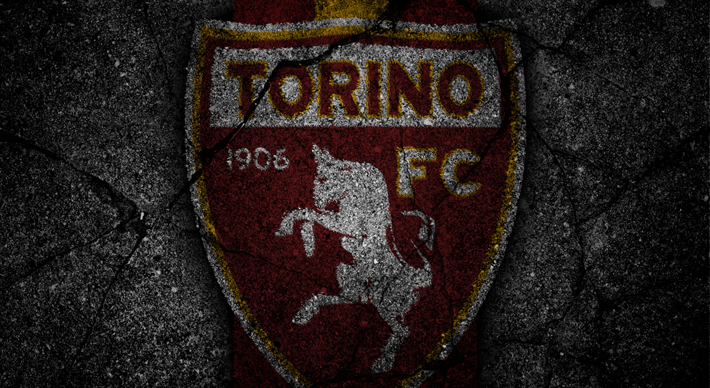 Ameconviene.it Supplier Torino Football Club